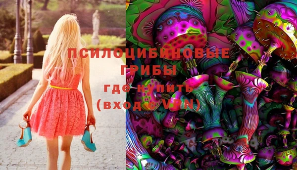 PSILOCYBIN Алексин