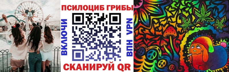 hydra как зайти  Павловская  Псилоцибиновые грибы Psilocybe  закладка 
