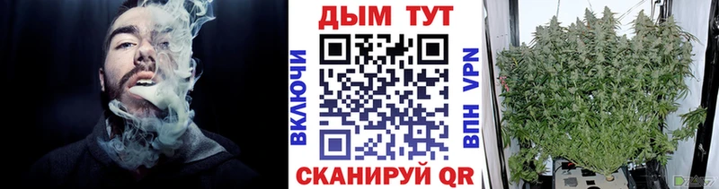Канабис план Павловская